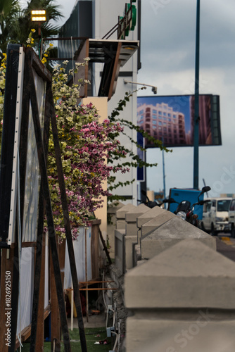 pink flowers in the street