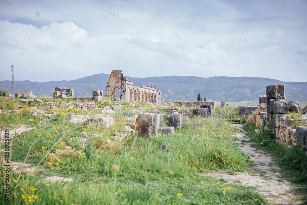Fototapeta premium Ancient ruins surrounded by lush greenery and wildflowers, with a pathway leading through the historical site, showcasing the beauty of nature and history intertwined