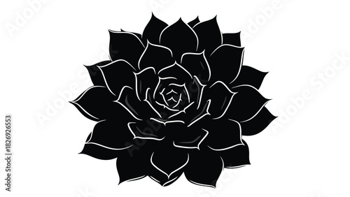Black succulent plant rosette graphic with white outline detail, minimalist botanical vector art for tattoo or logo design, isolated on white background