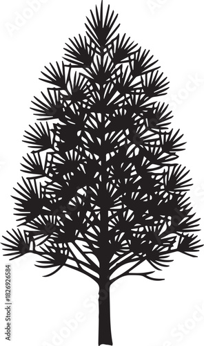 Silhouette of a tall, dense pine tree against a white background, showcasing its evergreen needles and branching structure.