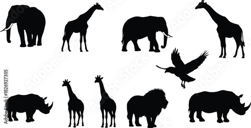 African animal silhouettes, wildlife profile, giraffe elephant rhino, lion and bird, savanna creatures, nature icons, jungle fauna, black shapes, side view