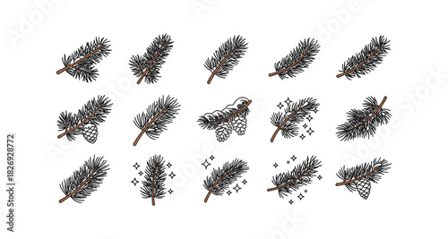 Hand-drawn pine twig and cone collection with decorative elements