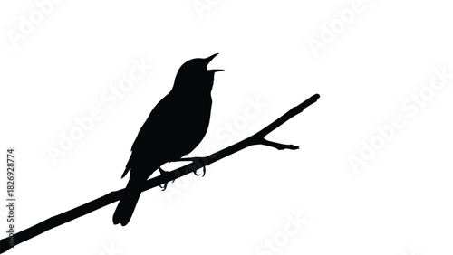 Black silhouette of a small songbird perched on a thin tree branch with its beak wide open singing, simple graphic vector art, isolated on white background