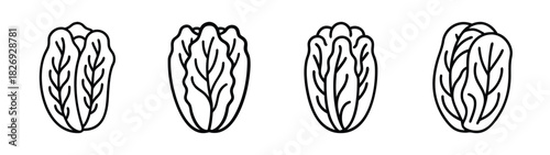 Hand drawn romaine lettuce leaves illustration vector design for healthy food concept art diet