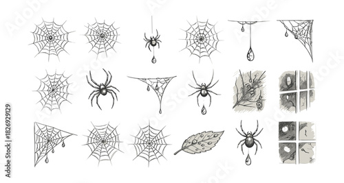 Sketch collection of spider webs and spiders with raindrops in nature