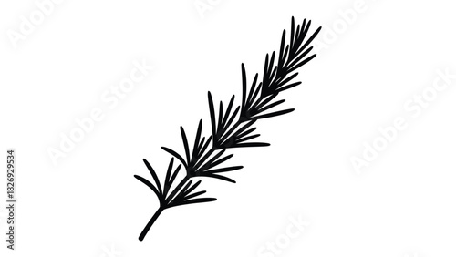 Simple black outline drawing of a fresh rosemary herb sprig with needle-like leaves, minimalist botanical element, clean line art vector design, isolated on white background