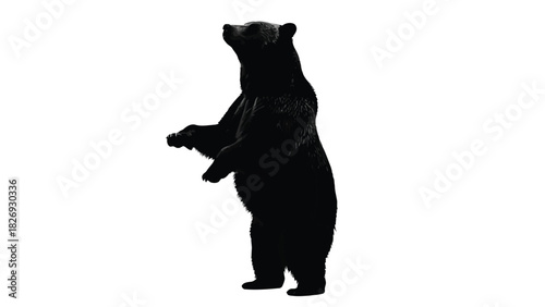 Black bear silhouette standing upright on hind legs looking upwards, powerful wildlife graphic, clean vector art, mascot design, isolated on white background