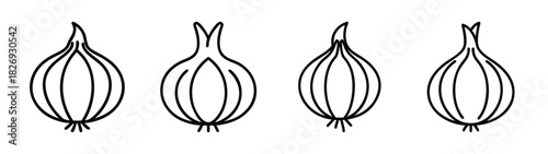 Illustration of seed pods botanical drawing vector art detailed line drawing seedpods nature art