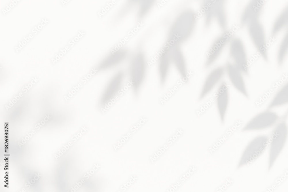 Obraz premium Soft Leaf Shadows on a Light Background for Tranquil Atmosphere