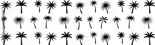 Silhouette palm tree collection in various shapes, tropical nature illustration set, exotic island foliage design elements for summer, beach and vacation themes