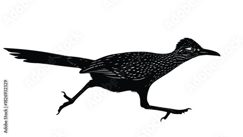 Black silhouette of a fast running roadrunner bird with white spotted feather texture in side view, wildlife vector illustration, isolated on white background