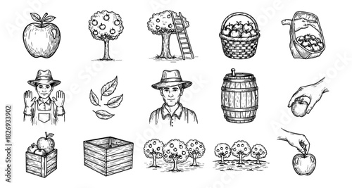 Hand drawn harvest collection of apple orchard scenes with farmers and fruit