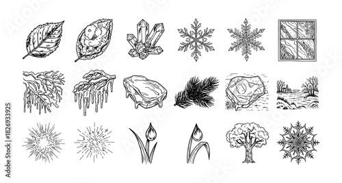Black and white nature elements set: leaves, snowflakes, crystals, and trees