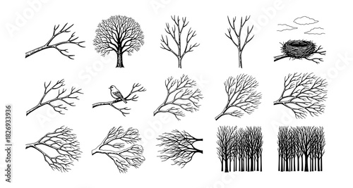 Hand drawn tree branches and bird nests: natural line art collection