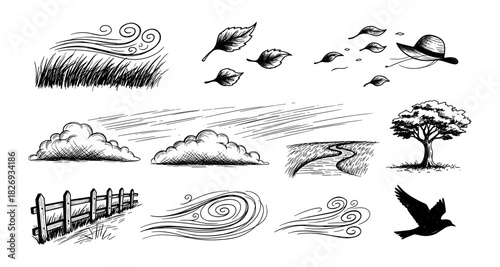 Hand drawn windy nature elements: trees, leaves, clouds, and bird