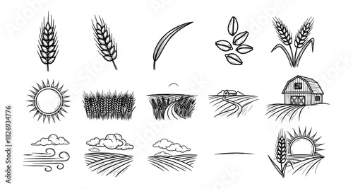 Rustic farm elements: hand drawn wheat, fields, and barn sketches