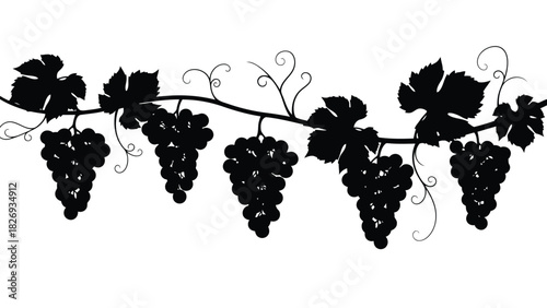 Grapevine border graphic black silhouette with clusters of ripe grapes and leaves isolated