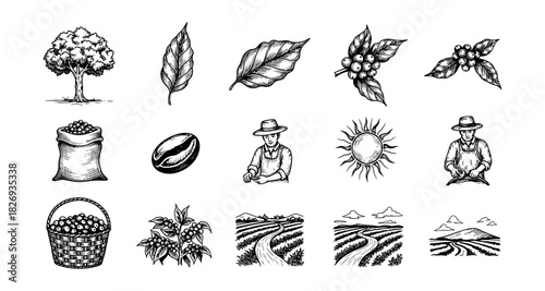 Hand drawn coffee elements: farmers, plants, beans, and landscapes in rustic style