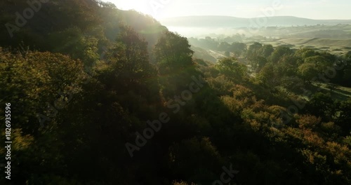 Flying over a forest in Yorkshire Dales at sunrise