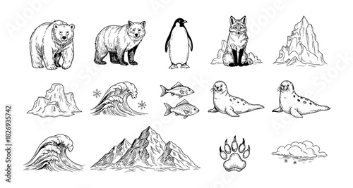 Hand drawn arctic wildlife and nature elements with waves and mountains