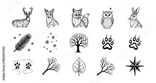 Hand drawn woodland animals and nature elements in black and white style
