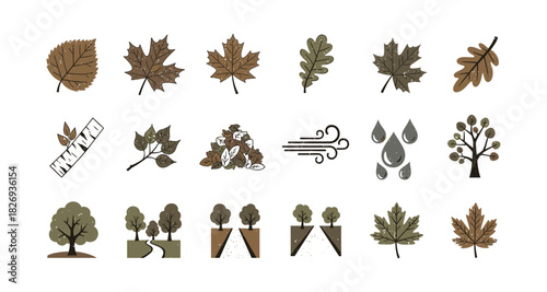 Illustrated collection of autumn trees and leaves with nature elements