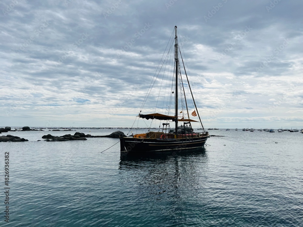 Fototapeta premium Calella de Palafrugell 