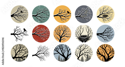 Circular silhouette branch patterns with seasonal colors and natural elements