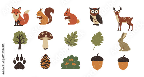 Rustic woodland creatures and nature elements in flat design