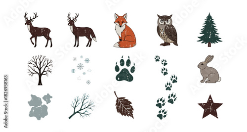 Woodland wildlife and nature elements in rustic style