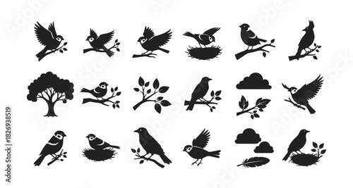 Bird silhouettes and natural elements: nesting, trees, and flight scenes