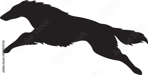 A striking silhouette of a long haired dog in full dynamic motion