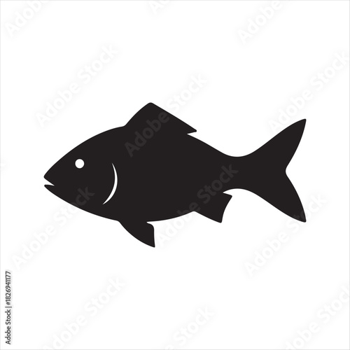 shark isolated on white background