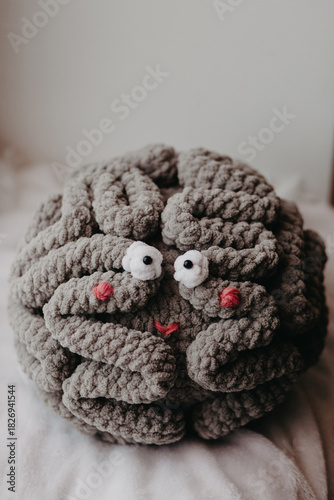 Knitted toy brain with eyes and a smile.