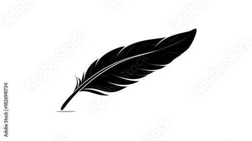 Soft black feather vector illustration, isolated on white background. Elegant natural design element for light concepts or writing.