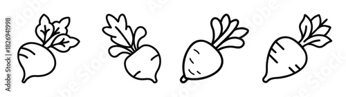 Hand drawn radish vegetable vector illustration, fresh radish clipart, radish outline drawing, food art