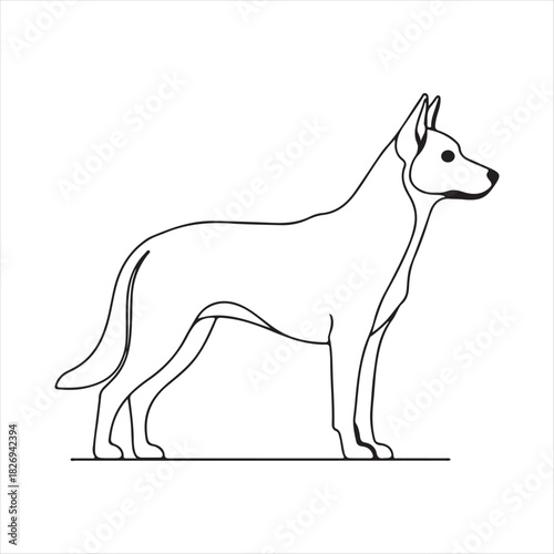 vector illustration of a dog