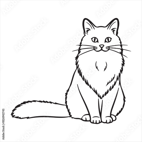 outline cat with a white background