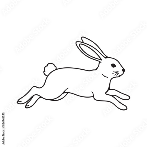 vector illustration of a rabbit