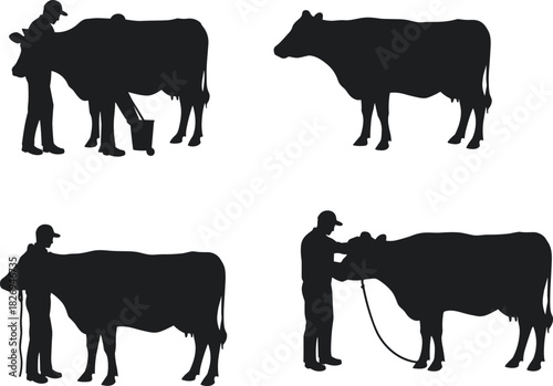 Dairy farming silhouettes with cow and farmer, milking and livestock care, rural agriculture scene, black vector illustration, pastoral village design