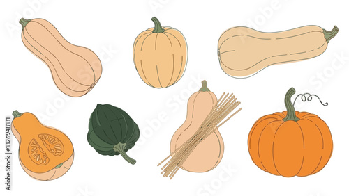 Assortment of colorful pumpkins and gourds perfect for autumn harvest.