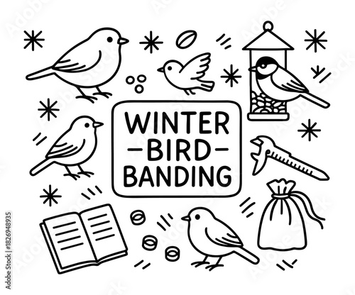 Winter bird banding with line art: birdwatching essentials and wildlife conservation