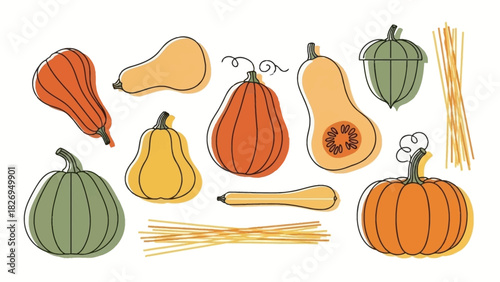 Collection of various pumpkins and gourds in different shapes and colors.