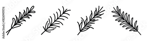 Illustration of rosemary sprigs culinary herb drawing aromatic plant cooking ingredient flavoring, 90