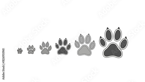 Evolution of Paw Prints - A Visual Representation of Growth and Development.