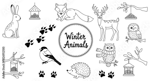 Black and white winter animal collection with cute wildlife and nature elements