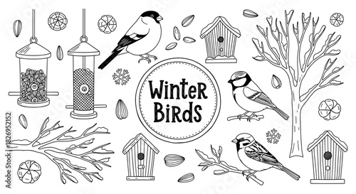 Winter birds collection: hand-drawn style with feeders and birdhouses