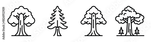 Vector illustration of various types of trees evergreen forest nature silhouette outline drawing art 90