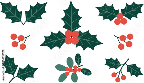 Collection of stylized holly leaves and berries berry