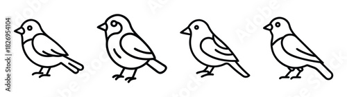 Birds drawing vector outline illustration set, bird sketch, bird silhouette, bird line art drawing